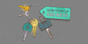 macfusion ssh keys